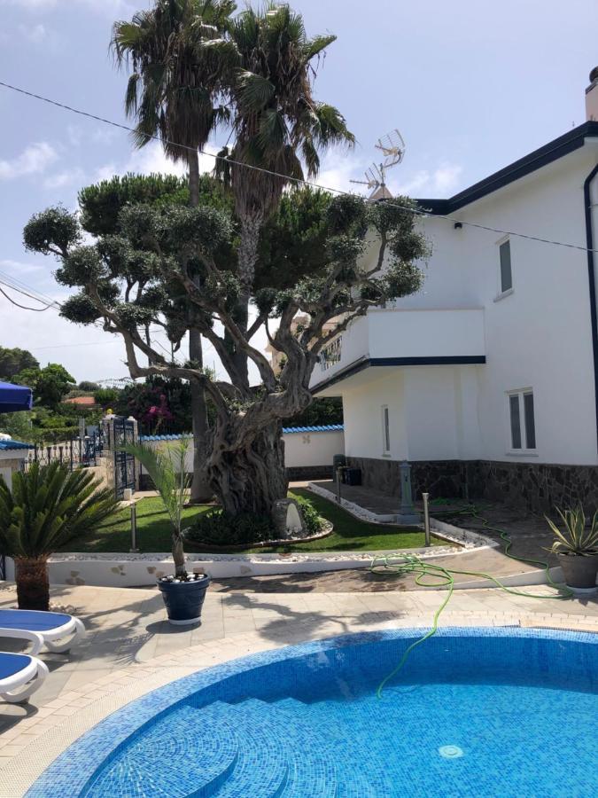 Villa Ludo A Zambrone Tropea Dış mekan fotoğraf